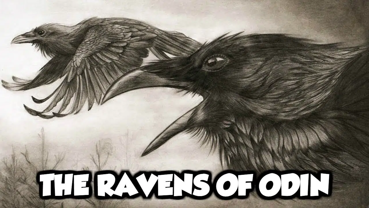 Huginn and Muninn