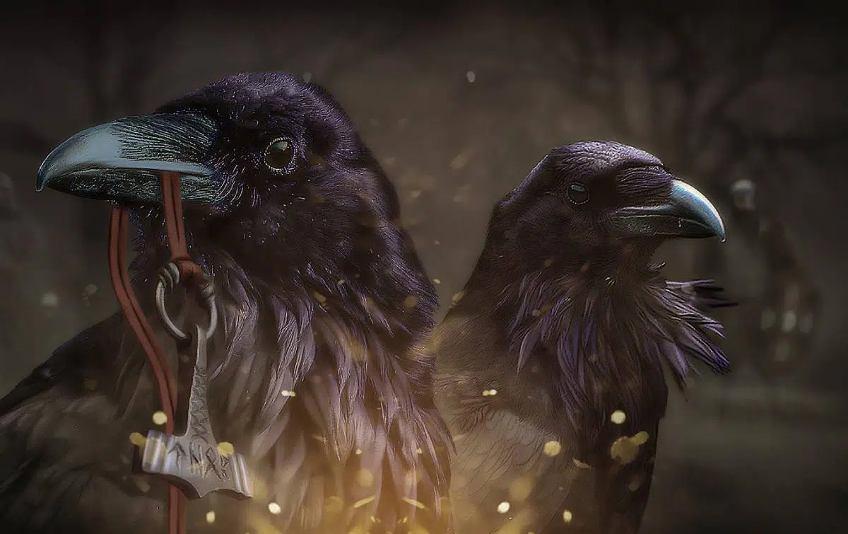 Huginn and Muninn Odins Enigmatic Companions