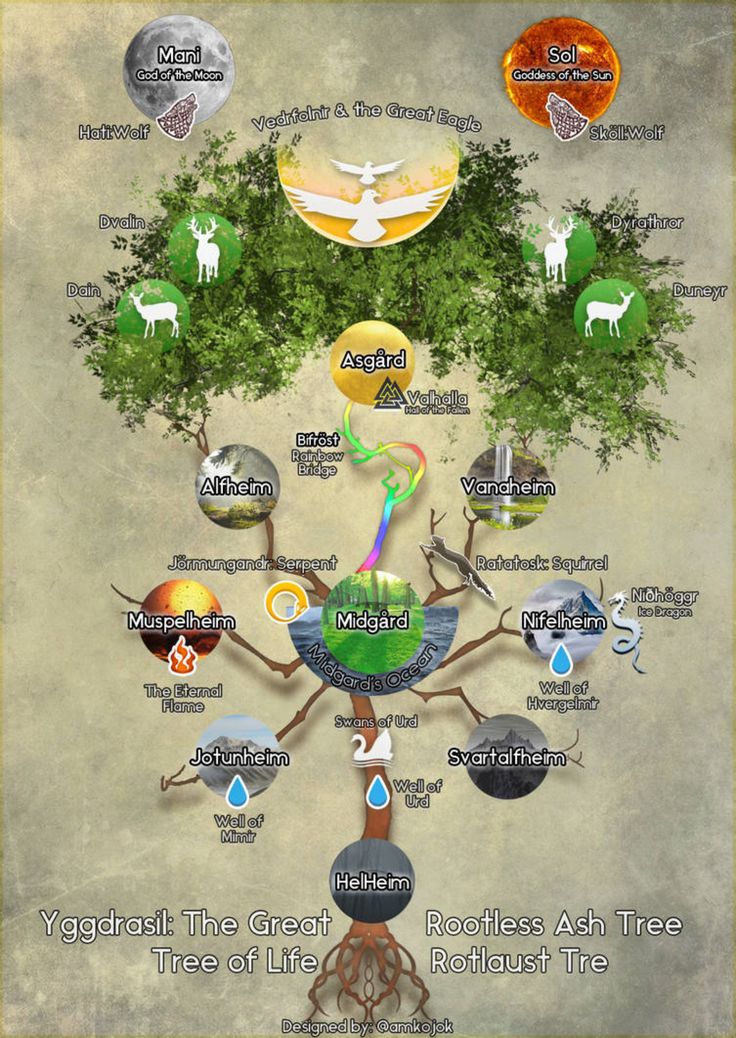 The Tree of Life Yggdrasil  A Symbol of Norse Cosmology