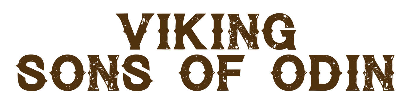 Viking Sons Of Odin
