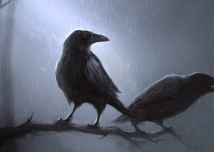 Huginn and Muninn Odins Enigmatic Companions